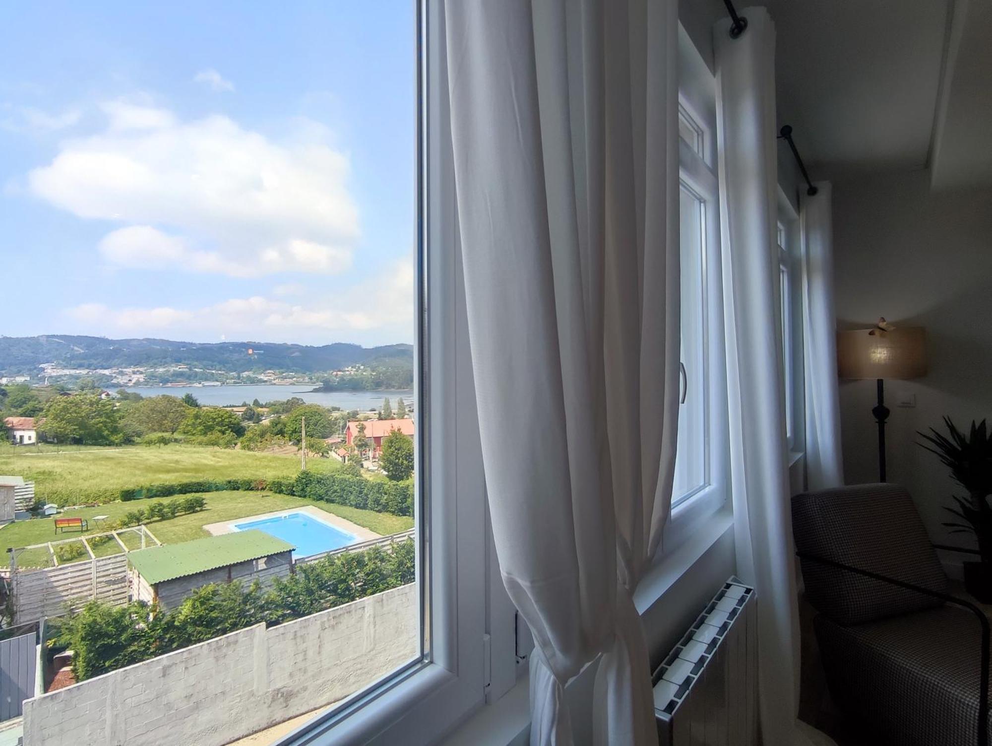 Canido Con Vistas